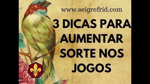 melhores jogos para ganhar bónus e dinheiro na betano portugal 